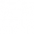 white american national logo