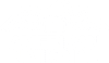 white american national logo