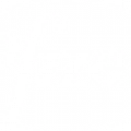 white pfizer logo on transparent background